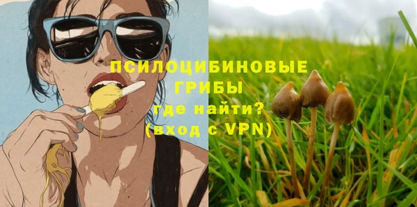 spice Алзамай