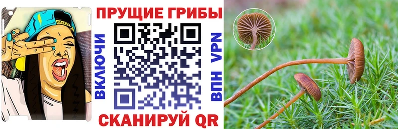 Галлюциногенные грибы ЛСД Грязи
