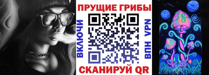 мега вход  Грязи  Галлюциногенные грибы прущие грибы 