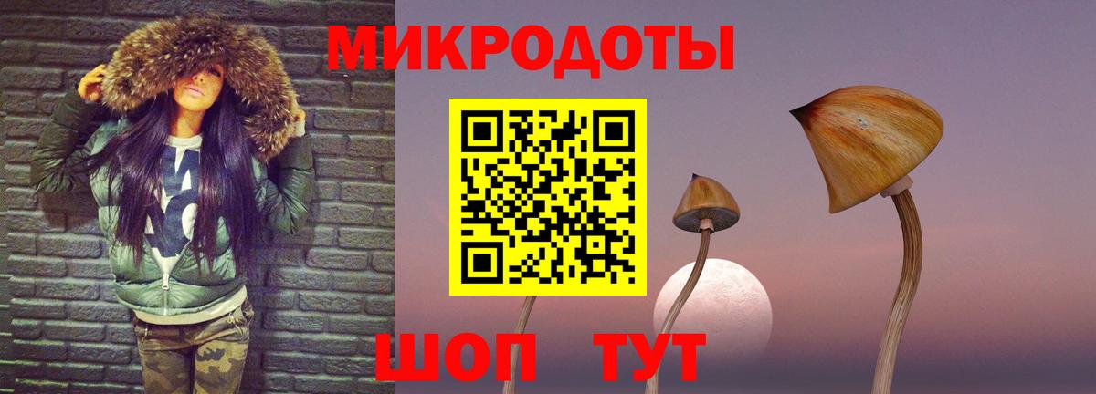 Псилоцибиновые грибы Psilocybine cubensis  Галлюциногенные грибы прущие грибы  Вход с VPN  Грязи 