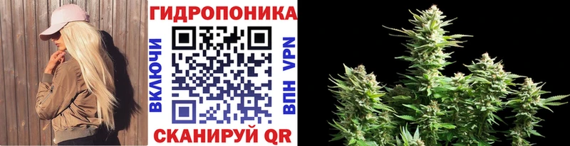 kraken зеркало  как найти   Грязи  Каннабис SATIVA & INDICA 